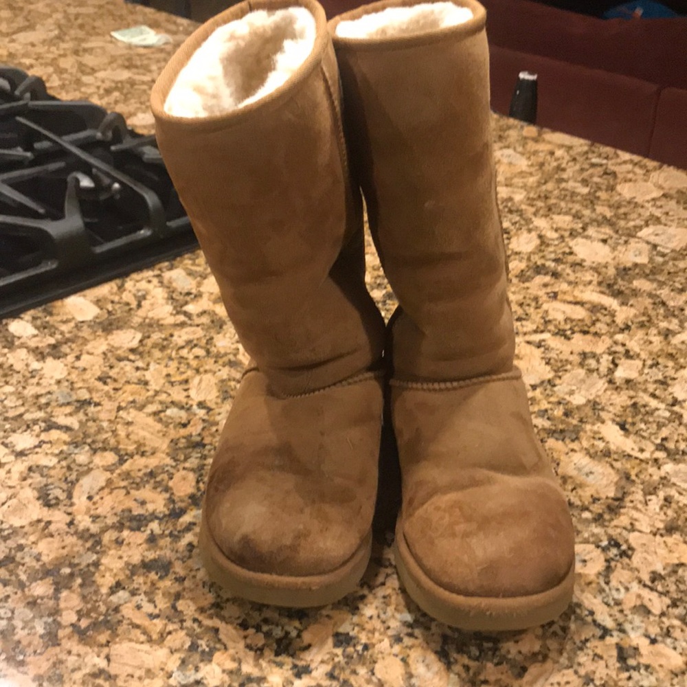 Chestnut uggs